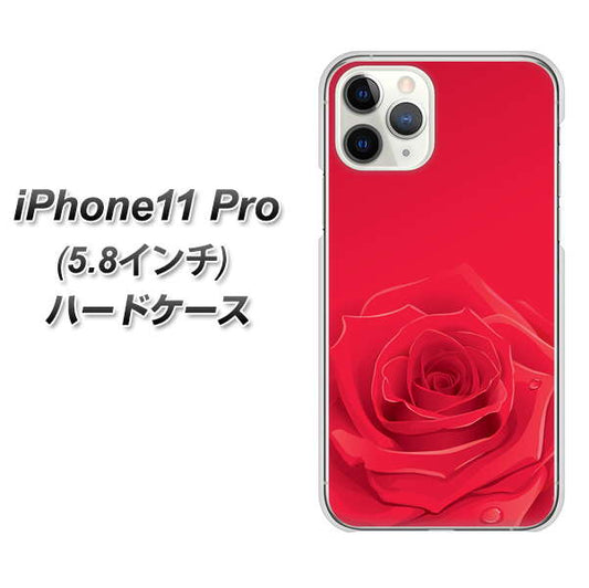 iPhone11 Pro (5.8インチ) 高画質仕上げ 背面印刷 ハードケース【395 赤いバラ】