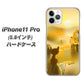 iPhone11 Pro (5.8インチ) 高画質仕上げ 背面印刷 ハードケース【400 たそがれの猫】