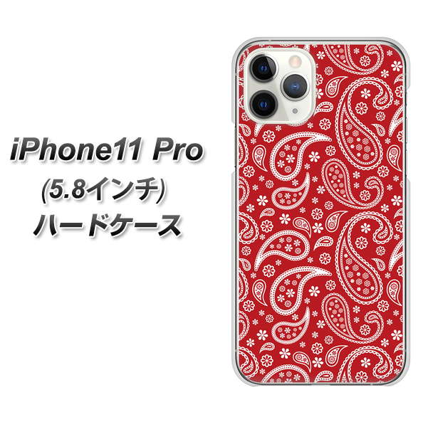 iPhone11 Pro (5.8インチ) 高画質仕上げ 背面印刷 ハードケース【765 ペイズリーエンジ】