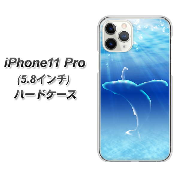 iPhone11 Pro (5.8インチ) 高画質仕上げ 背面印刷 ハードケース【1047 海の守り神くじら】