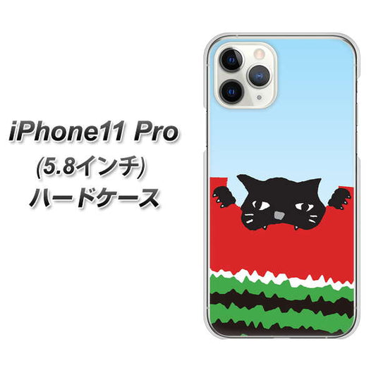iPhone11 Pro (5.8インチ) 高画質仕上げ 背面印刷 ハードケース【IA815 すいかをかじるネコ(大)】