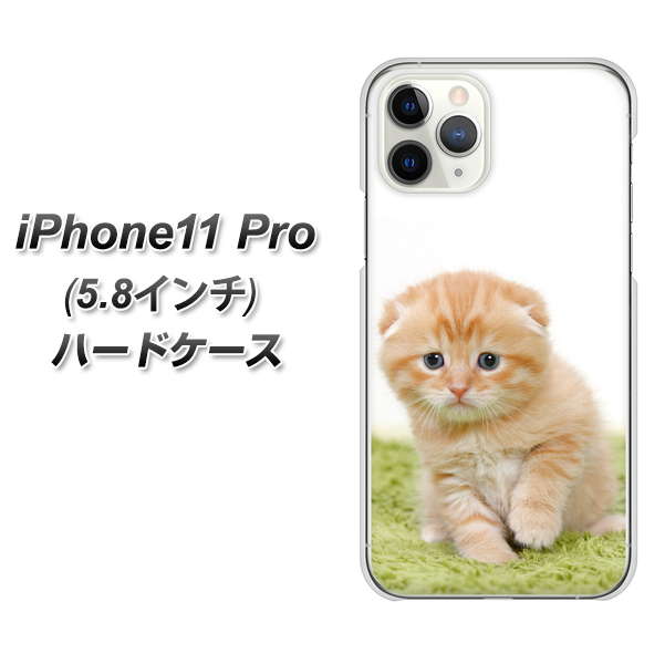 iPhone11 Pro (5.8インチ) 高画質仕上げ 背面印刷 ハードケース【VA802 ネコこっそり】