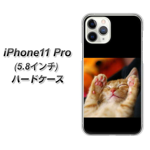 iPhone11 Pro (5.8インチ) 高画質仕上げ 背面印刷 ハードケース【VA804 爆睡するネコ】