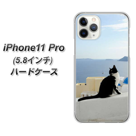 iPhone11 Pro (5.8インチ) 高画質仕上げ 背面印刷 ハードケース【VA805 ネコと地中海】