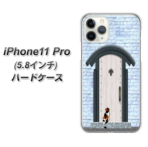 iPhone11 Pro (5.8インチ) 高画質仕上げ 背面印刷 ハードケース【YA951 石ドア01】