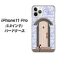 iPhone11 Pro (5.8インチ) 高画質仕上げ 背面印刷 ハードケース【YA952 石ドア02 素材クリア】