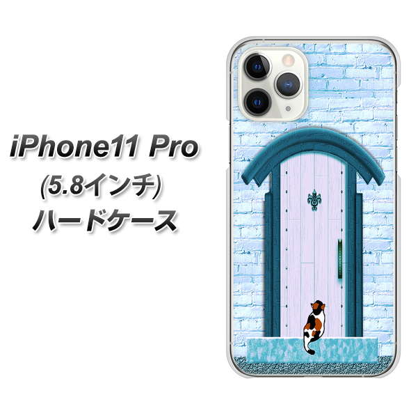 iPhone11 Pro (5.8インチ) 高画質仕上げ 背面印刷 ハードケース【YA953 石ドア03 素材クリア】