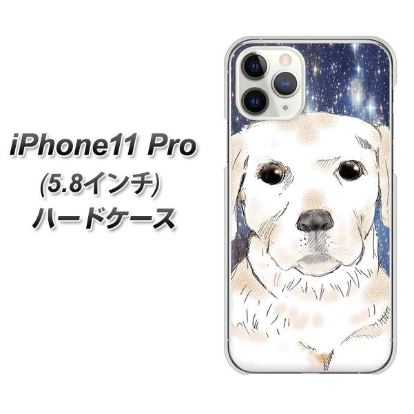 iPhone11 Pro (5.8インチ) 高画質仕上げ 背面印刷 ハードケース【YD820 ラブラドールレトリバー01】