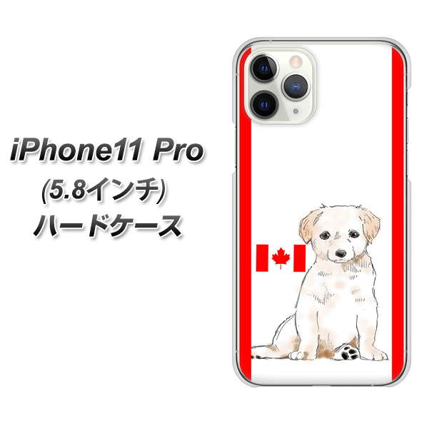 iPhone11 Pro (5.8インチ) 高画質仕上げ 背面印刷 ハードケース【YD824 ラブラドールレトリバー05】