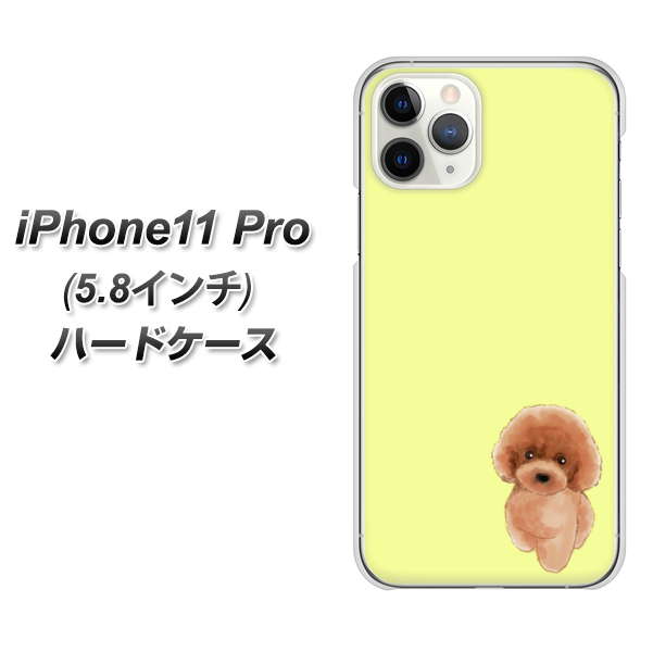 iPhone11 Pro (5.8インチ) 高画質仕上げ 背面印刷 ハードケース【YJ051 トイプードルレッド（イエロー）】