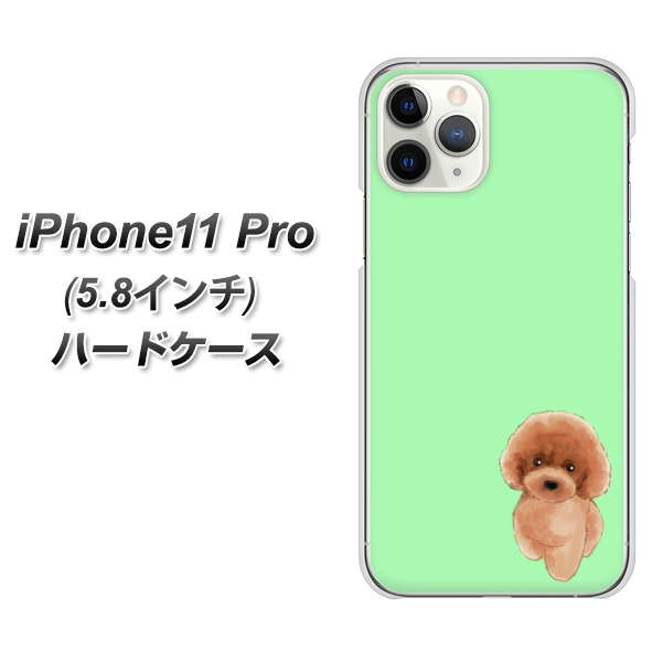 iPhone11 Pro (5.8インチ) 高画質仕上げ 背面印刷 ハードケース【YJ052 トイプードルレッド（ グリーン）】