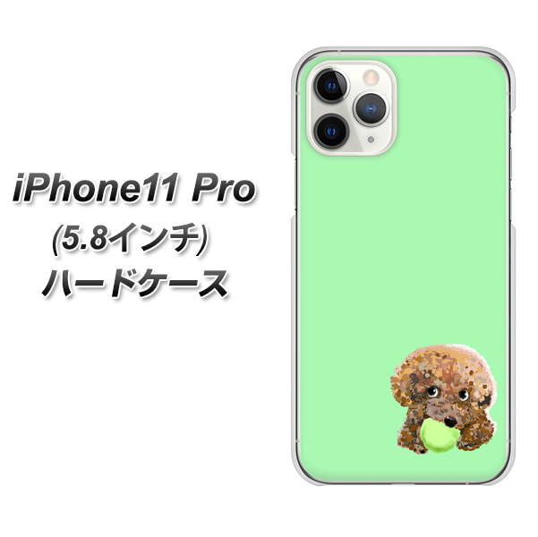 iPhone11 Pro (5.8インチ) 高画質仕上げ 背面印刷 ハードケース【YJ055 トイプードル＆ボール（グリーン）】