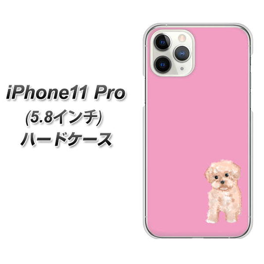 iPhone11 Pro (5.8インチ) 高画質仕上げ 背面印刷 ハードケース【YJ061 トイプードルアプリコット（ピンク）】