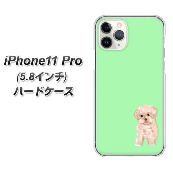 iPhone11 Pro (5.8インチ) 高画質仕上げ 背面印刷 ハードケース【YJ063 トイプードルアプリコット（グリーン）】