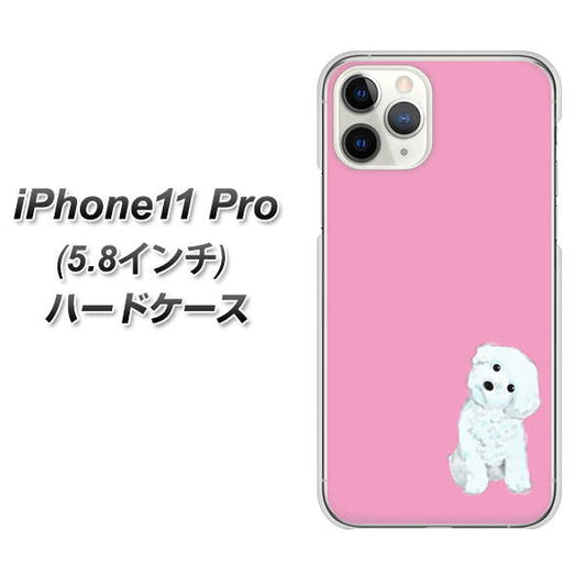 iPhone11 Pro (5.8インチ) 高画質仕上げ 背面印刷 ハードケース【YJ069 トイプードルホワイト（ピンク）】