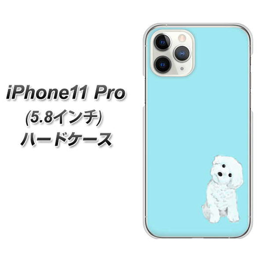 iPhone11 Pro (5.8インチ) 高画質仕上げ 背面印刷 ハードケース【YJ070 トイプードルホワイト（ブルー）】