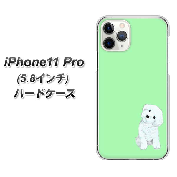 iPhone11 Pro (5.8インチ) 高画質仕上げ 背面印刷 ハードケース【YJ071 トイプードルホワイト（グリーン）】