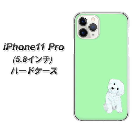iPhone11 Pro (5.8インチ) 高画質仕上げ 背面印刷 ハードケース【YJ071 トイプードルホワイト（グリーン）】