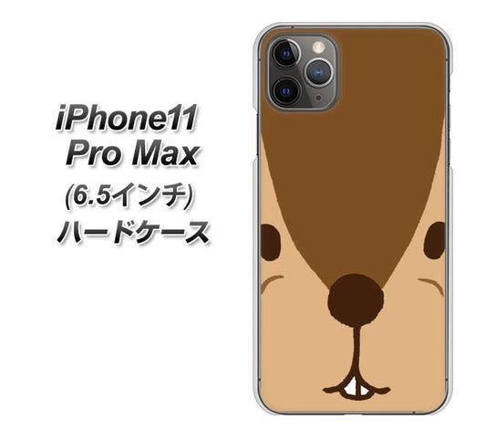 iPhone11 Pro Max　(6.5インチ) 高画質仕上げ 背面印刷 ハードケース【349 りす】