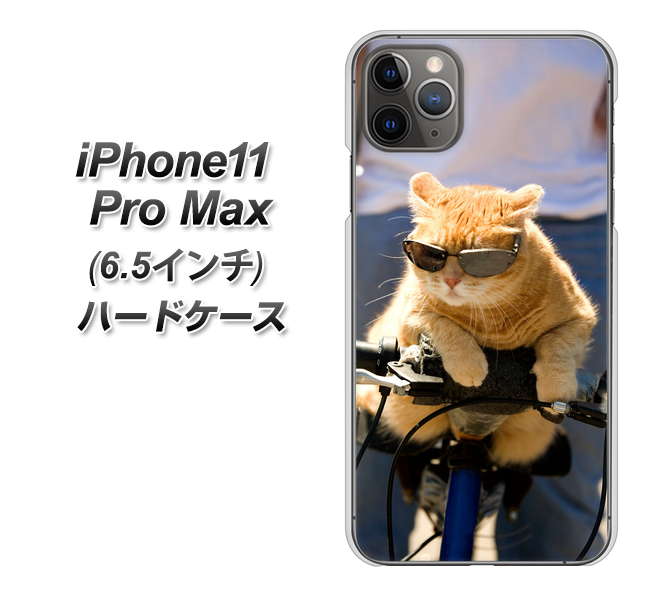 iPhone11 Pro Max　(6.5インチ) 高画質仕上げ 背面印刷 ハードケース【595 にゃんとサイクル】