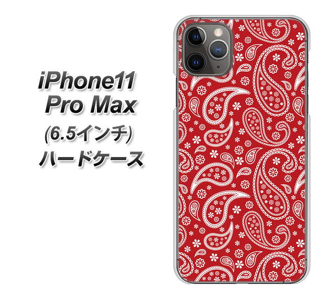 iPhone11 Pro Max　(6.5インチ) 高画質仕上げ 背面印刷 ハードケース【765 ペイズリーエンジ】