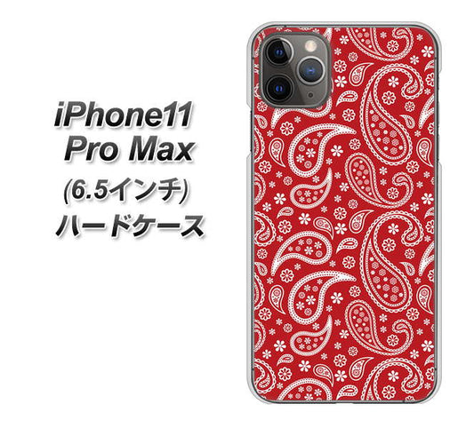iPhone11 Pro Max　(6.5インチ) 高画質仕上げ 背面印刷 ハードケース【765 ペイズリーエンジ】