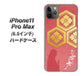 iPhone11 Pro Max　(6.5インチ) 高画質仕上げ 背面印刷 ハードケース【AB822 お市の方】