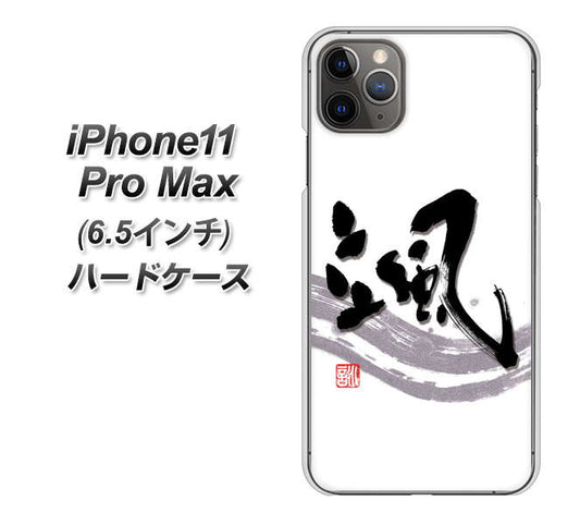 iPhone11 Pro Max　(6.5インチ) 高画質仕上げ 背面印刷 ハードケース【OE827 颯】