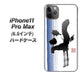 iPhone11 Pro Max　(6.5インチ) 高画質仕上げ 背面印刷 ハードケース【OE829 斗】