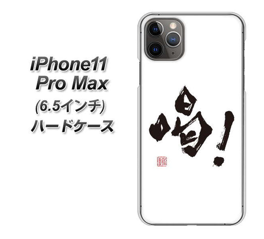 iPhone11 Pro Max　(6.5インチ) 高画質仕上げ 背面印刷 ハードケース【OE845 喝！】