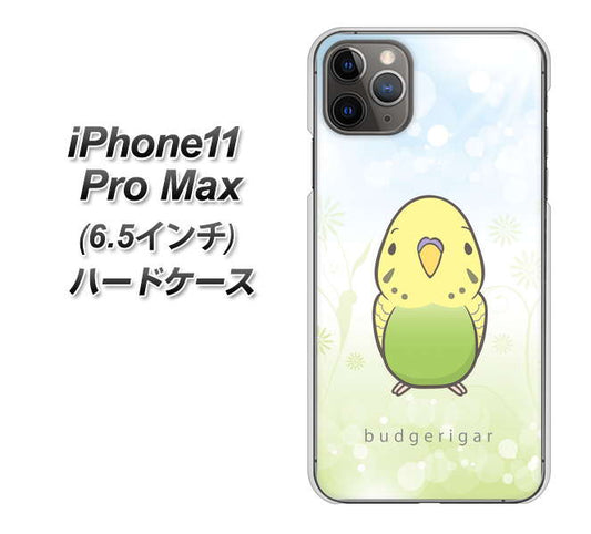 iPhone11 Pro Max　(6.5インチ) 高画質仕上げ 背面印刷 ハードケース【SC838 セキセイインコ グリーン】