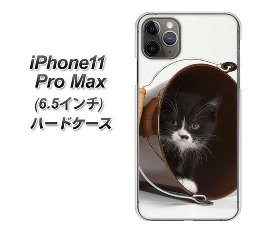 iPhone11 Pro Max　(6.5インチ) 高画質仕上げ 背面印刷 ハードケース【VA800 ネコとバケツ】