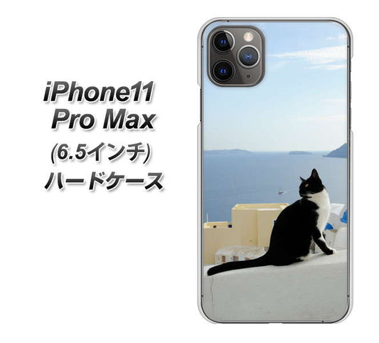 iPhone11 Pro Max　(6.5インチ) 高画質仕上げ 背面印刷 ハードケース【VA805 ネコと地中海】