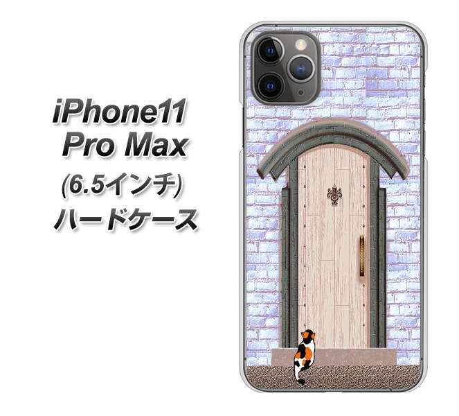 iPhone11 Pro Max　(6.5インチ) 高画質仕上げ 背面印刷 ハードケース【YA952 石ドア02 素材クリア】