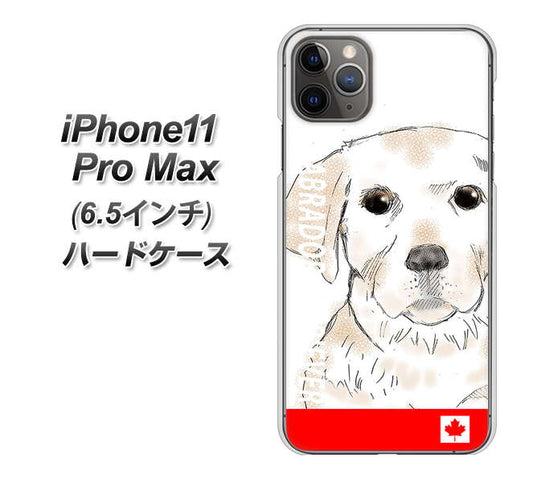 iPhone11 Pro Max　(6.5インチ) 高画質仕上げ 背面印刷 ハードケース【YD821 ラブラドールレトリバー02】