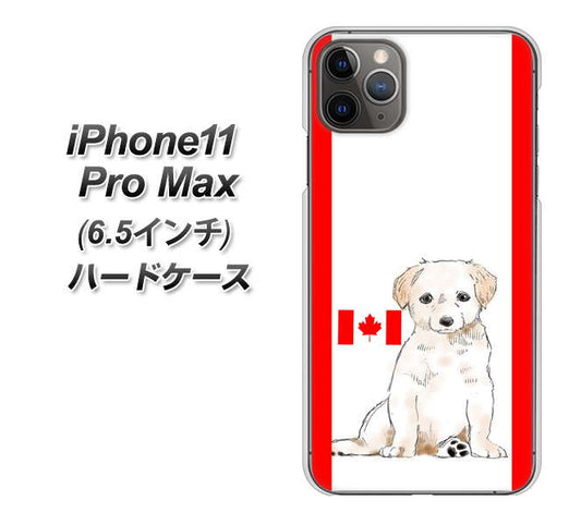iPhone11 Pro Max　(6.5インチ) 高画質仕上げ 背面印刷 ハードケース【YD824 ラブラドールレトリバー05】