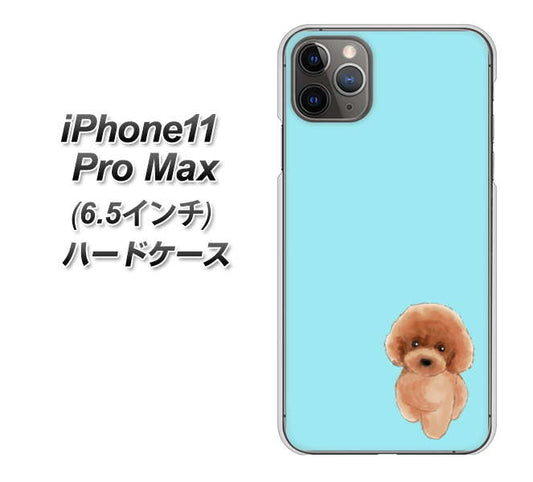 iPhone11 Pro Max　(6.5インチ) 高画質仕上げ 背面印刷 ハードケース【YJ050 トイプードルレッド（ブルー）】