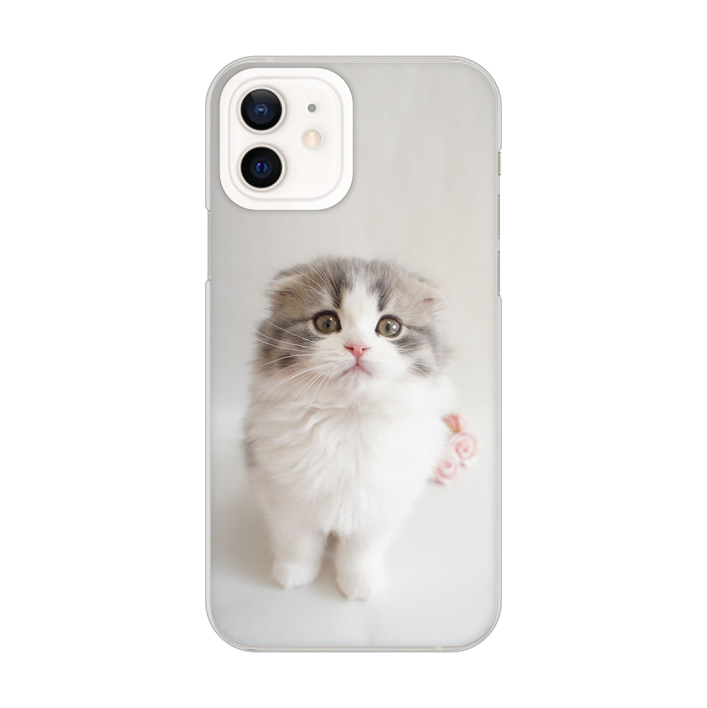 iPhone12 高画質仕上げ 背面印刷 ハードケース 【VA803 まっていますネコ】