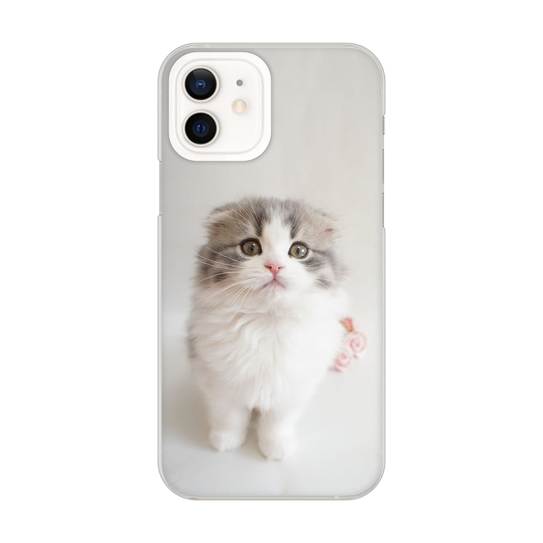 iPhone12 高画質仕上げ 背面印刷 ハードケース 【VA803 まっていますネコ】