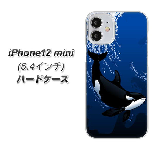 iPhone12 mini 高画質仕上げ 背面印刷 ハードケース【423 シャチ】