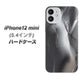 iPhone12 mini 高画質仕上げ 背面印刷 ハードケース 【566 ボディウォール】
