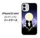 iPhone12 mini 高画質仕上げ 背面印刷 ハードケース【604 月明かりの恋ネコ】