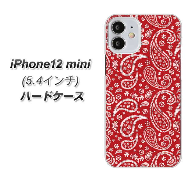 iPhone12 mini 高画質仕上げ 背面印刷 ハードケース【765 ペイズリーエンジ】