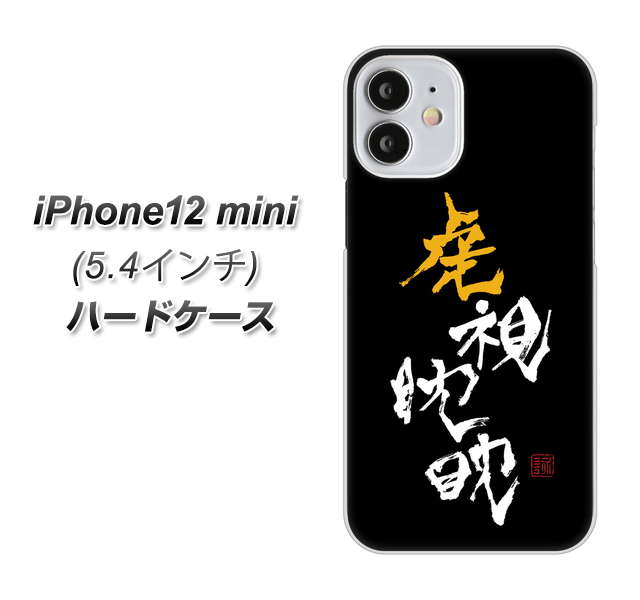iPhone12 mini 高画質仕上げ 背面印刷 ハードケース【OE803 虎視眈々】