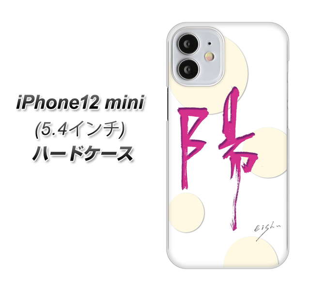 iPhone12 mini 高画質仕上げ 背面印刷 ハードケース【OE833 陽】