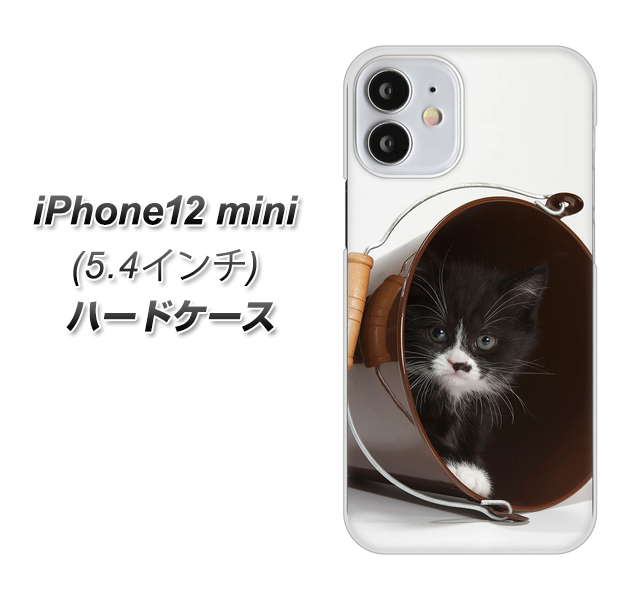 iPhone12 mini 高画質仕上げ 背面印刷 ハードケース 【VA800 ネコとバケツ】