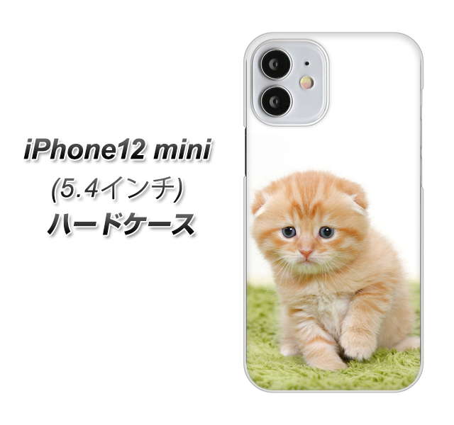 iPhone12 mini 高画質仕上げ 背面印刷 ハードケース 【VA802 ネコこっそり】