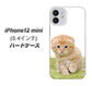 iPhone12 mini 高画質仕上げ 背面印刷 ハードケース 【VA802 ネコこっそり】