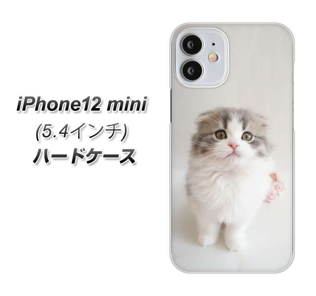 iPhone12 mini 高画質仕上げ 背面印刷 ハードケース 【VA803 まっていますネコ】