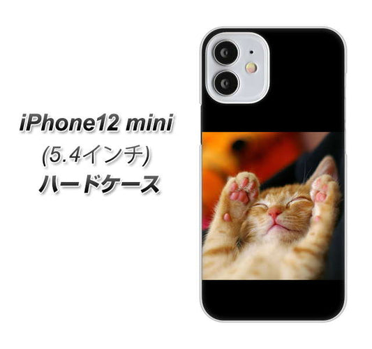 iPhone12 mini 高画質仕上げ 背面印刷 ハードケース 【VA804 爆睡するネコ】